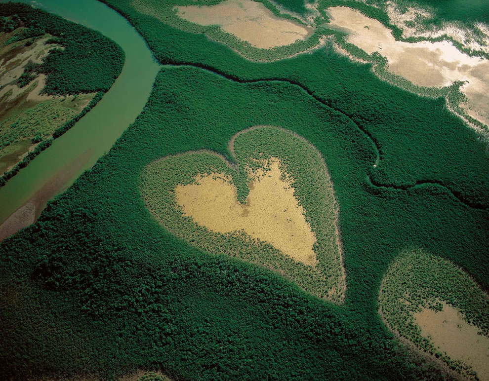Heart-Shaped-Mangrove-Voh-New-Caledonia