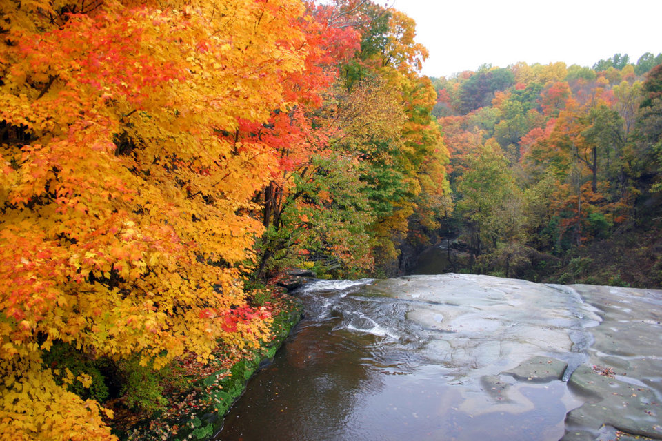 Trees in fall colors at edge of waterfall