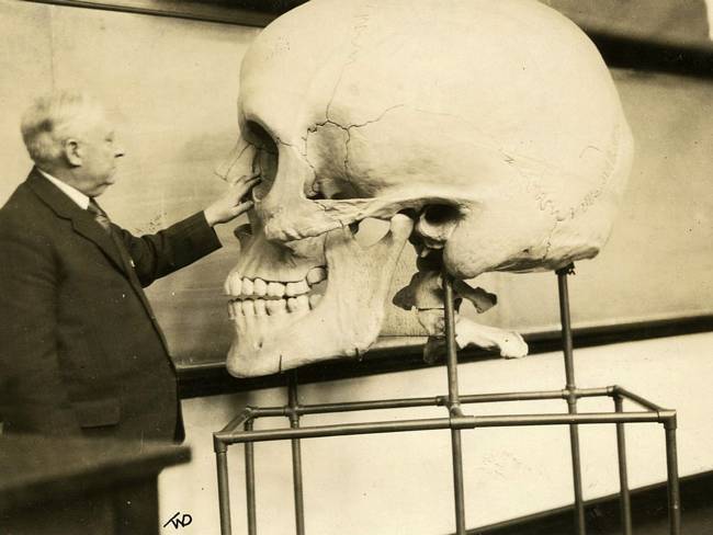 Fake-Skull-made-in-1890s.Haris-p-Mosher-Harvard-MS-1929